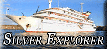 Silver Explorer button